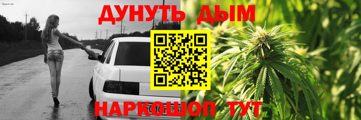 Конопля сатива Карталы